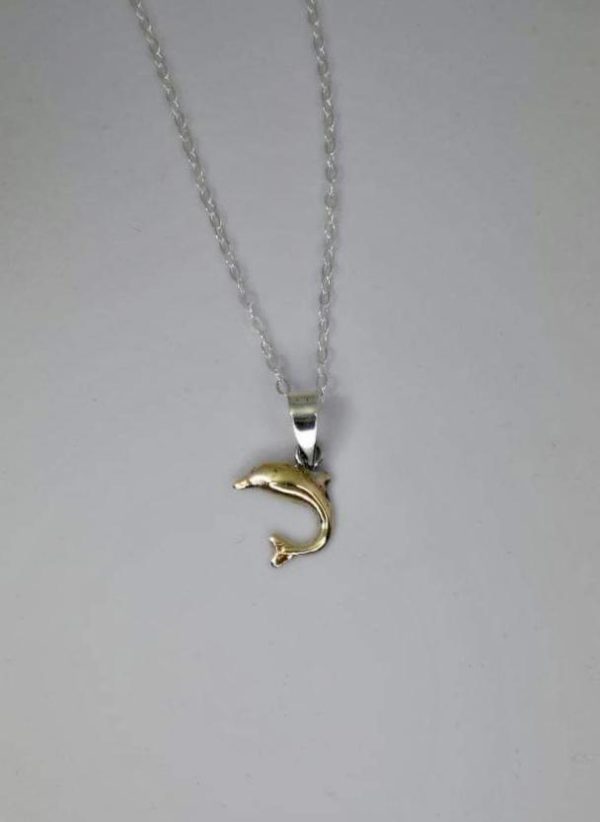 Colgante Delfin