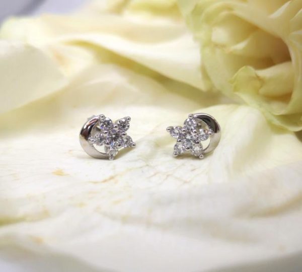 Aros de Plata
