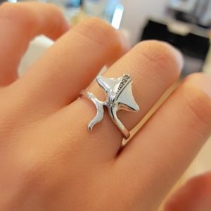 Anillo de Plata